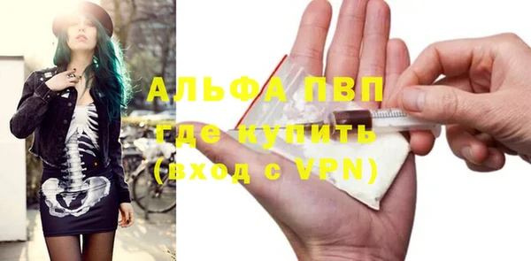 ГАЛЛЮЦИНОГЕННЫЕ ГРИБЫ Гусев
