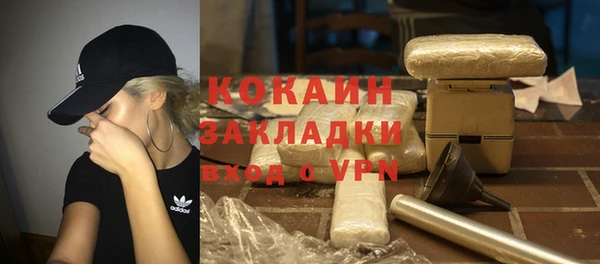 PSILOCYBIN Гусь-Хрустальный