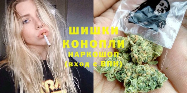 PSILOCYBIN Гусь-Хрустальный