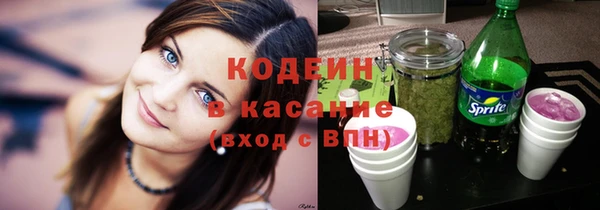ГАЛЛЮЦИНОГЕННЫЕ ГРИБЫ Гусев