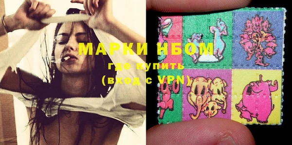 PSILOCYBIN Гусь-Хрустальный