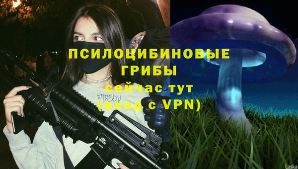 ГАЛЛЮЦИНОГЕННЫЕ ГРИБЫ Гусев