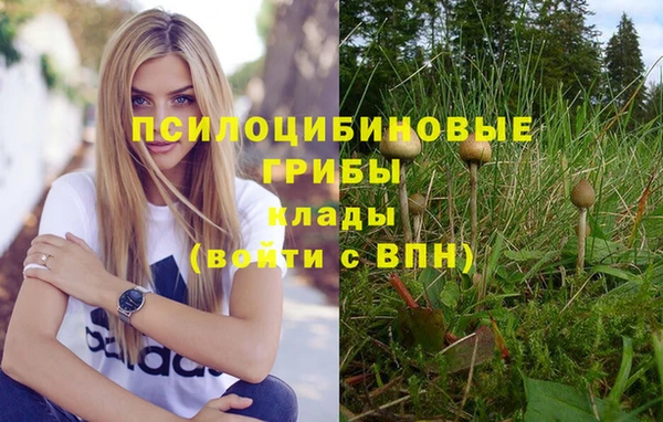 PSILOCYBIN Гусь-Хрустальный