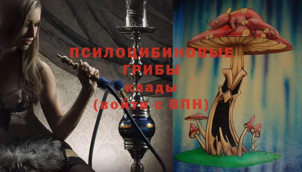 бошки Гусиноозёрск