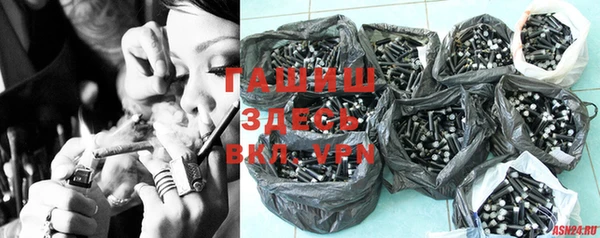 ГАЛЛЮЦИНОГЕННЫЕ ГРИБЫ Гусев