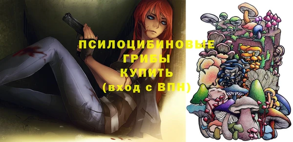 бошки Гусиноозёрск