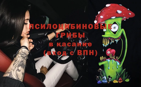 PSILOCYBIN Гусь-Хрустальный