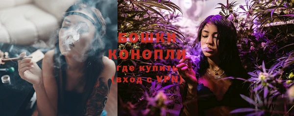 ГАЛЛЮЦИНОГЕННЫЕ ГРИБЫ Гусев