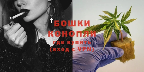 ГАЛЛЮЦИНОГЕННЫЕ ГРИБЫ Гусев