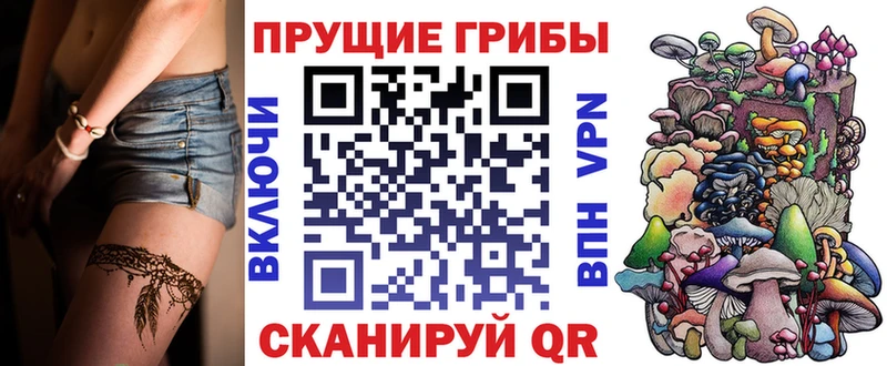 Псилоцибиновые грибы MAGIC MUSHROOMS  блэк спрут сайт  Яровое 